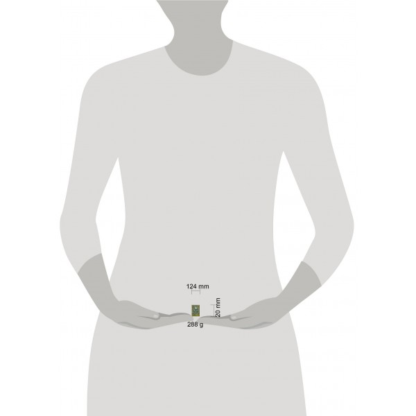 Краткость — сестра таланта. Чехов А.П. Краткость — сестра таланта. Чехов А.П.