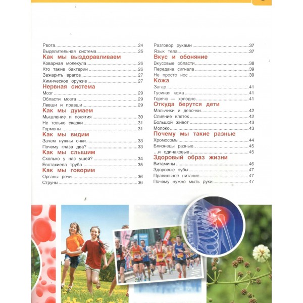 Энциклопедия с развивающими заданиями. Тело человека. Лэнг Г.Э.