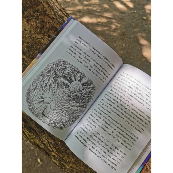 Книжный лес. Тан Сулань