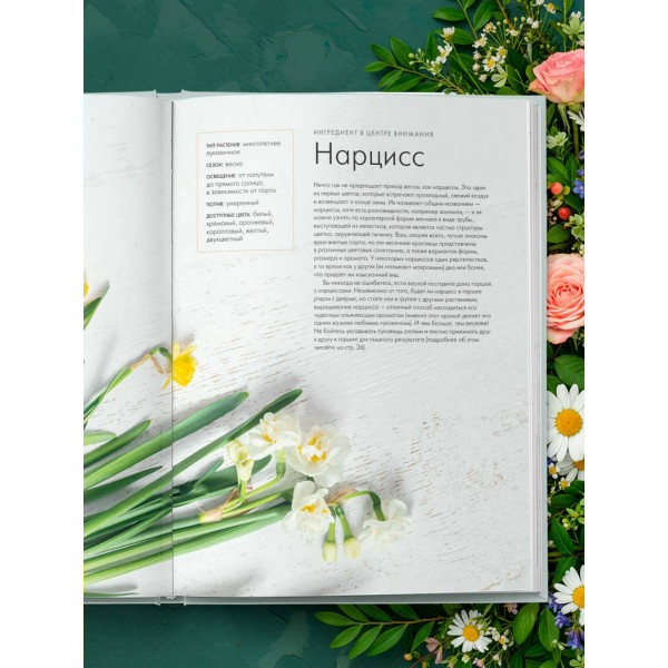 Магия контейнерного сада. Цветочный дизайн террас, веранд, балконов, патио и маленьких садов. Л. Уильямс Магия контейнерного сада. Цветочный дизайн террас, веранд, балконов, патио и маленьких садов. Л. Уильямс