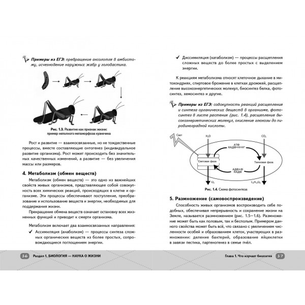 ЕГЭ. Биология. Справочник. Ж. Казанская Эксмо