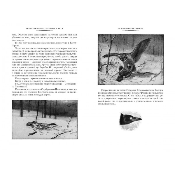 Рассказы о животных. Э. Сетон-Томпсон