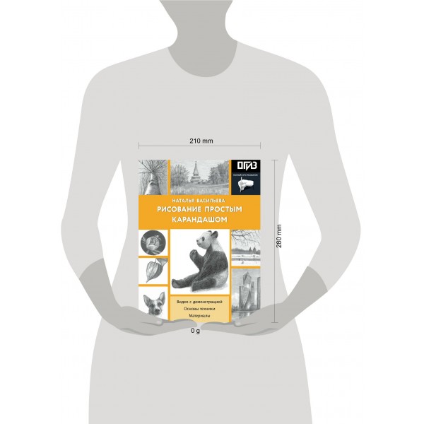 Рисование простым карандашом. Васильева Н.В.