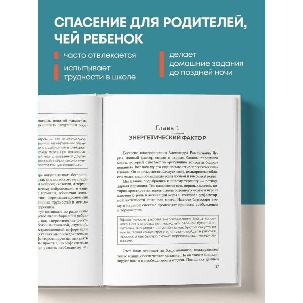 Мозг школьника. Советы и упражнения нейропсихолога для учебы без стресса и слез. Е. Лаштабега