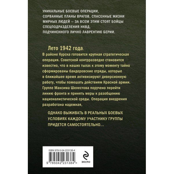 Боевые асы наркома. Тамоников А.А.