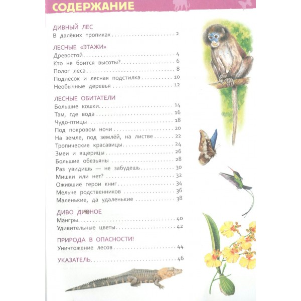 Джунгли. Клюшник Л.В.