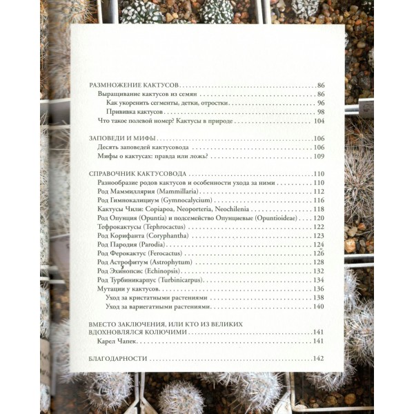 Кактусы. Колючая правда. Д. Пожарова Кактусы. Колючая правда. Д. Пожарова