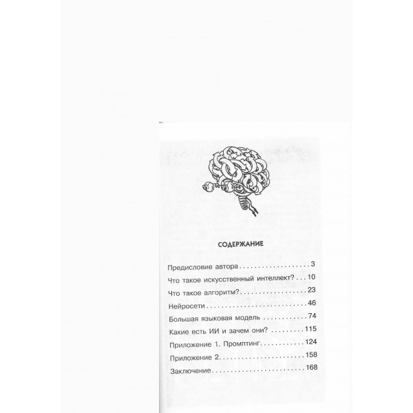 Нейросети и искусственный интеллект. Хозяинова Н.А.