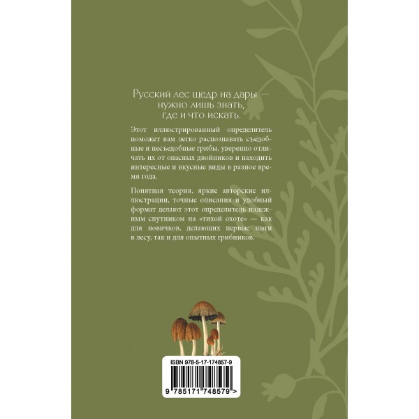 Грибы русского леса. Иллюстрированный определитель. Сергеева М.Н.