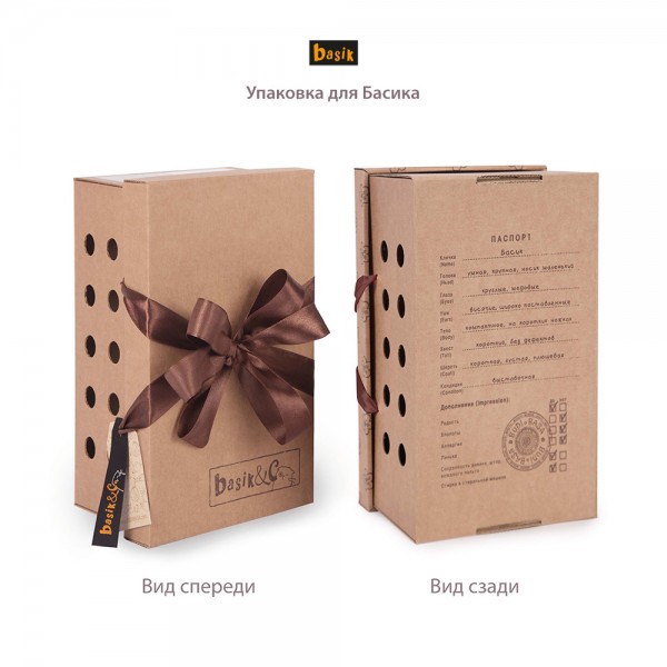 Budi Basa Игрушка   Кот Басик в кожаной куртке, мягкая, 22 см Ks22-059 Россия