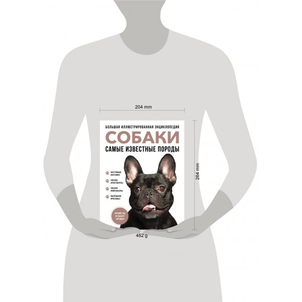 Собаки. Самые известные породы. Большая иллюстрированная энциклопедия. Коллектив Собаки. Самые известные породы. Большая иллюстрированная энциклопедия. Коллектив