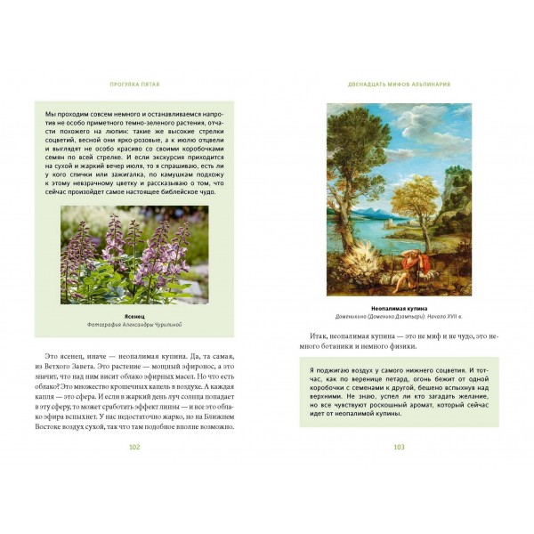 Зачарованный сад. Майское дерево, цветок папоротника и другие легенды о растениях. А. Баркова