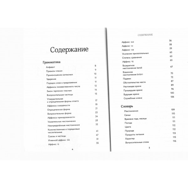 Турецкий с душой. Самоучитель + разговорник. О. Миресмаэйли