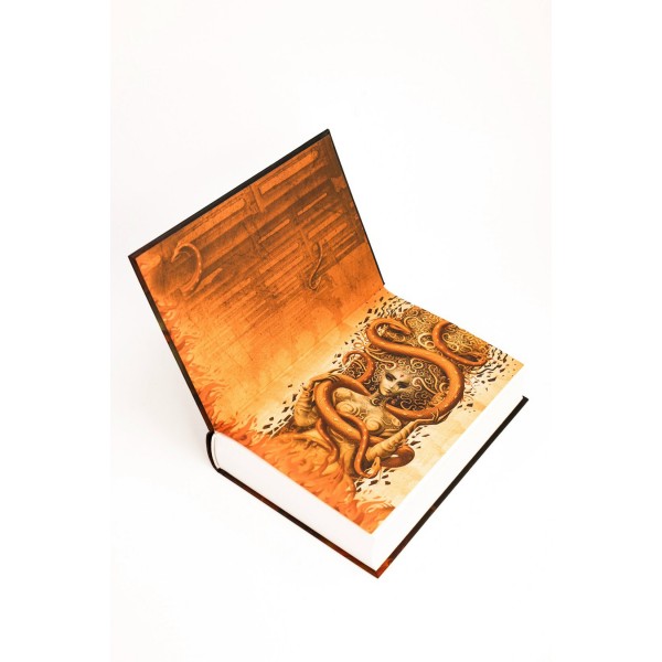 Город Полумесяца. Дом Пламени и Тени. С.Дж. Маас