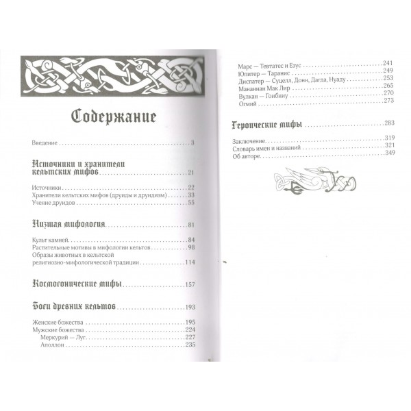 Мифы кельтских народов. Боги, герои, силы природы, символы, мотивы, ритуалы, друиды. Широкова Н.С.