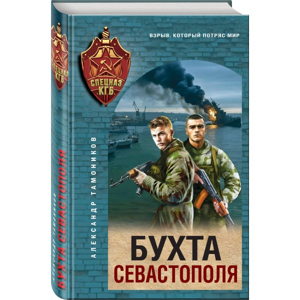 Бухта Севастополя. Тамоников А.А.