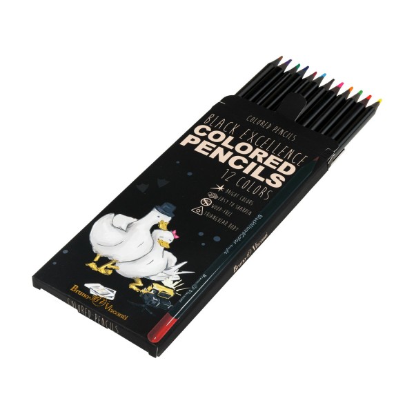 Карандаши цветные 12шт пластиковые BlackWoodColor 3-гранные ассорти 3 вида 30-0097 Bruno Visconti 12/120