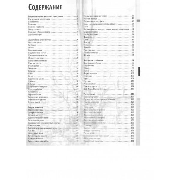 Основы рисования. 