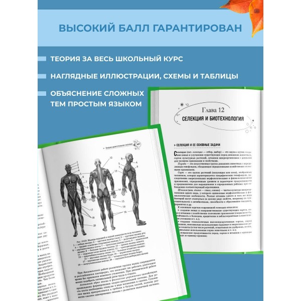 Биология. Справочник для подготовки к ЕГЭ, олимпиадам и поступлению в вуз. 2026. Лисов Н.Д. Эксмо
