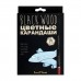 Карандаши цветные 36шт BlackWoodColor пластиковые 30-0101 Bruno Visconti 4/40