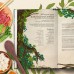 Кулинарная книга Ghibli. Рецепты, вдохновленные легендарной анимационной студией. Т. Вилланова