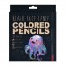 Карандаши цветные 24шт пластиковые BlackWoodColor 30-0099 Bruno Visconti 12/72