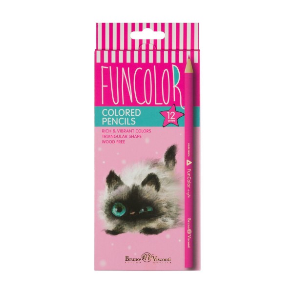 Карандаши цветные 12шт пластиковые FunColor 30-0060 Bruno Visconti 12/120