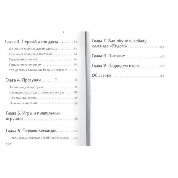 Тебе ЛАЙк. 60 советов и одна собака. Мойсеенко Г.М. Тебе ЛАЙк. 60 советов и одна собака. Мойсеенко Г.М.