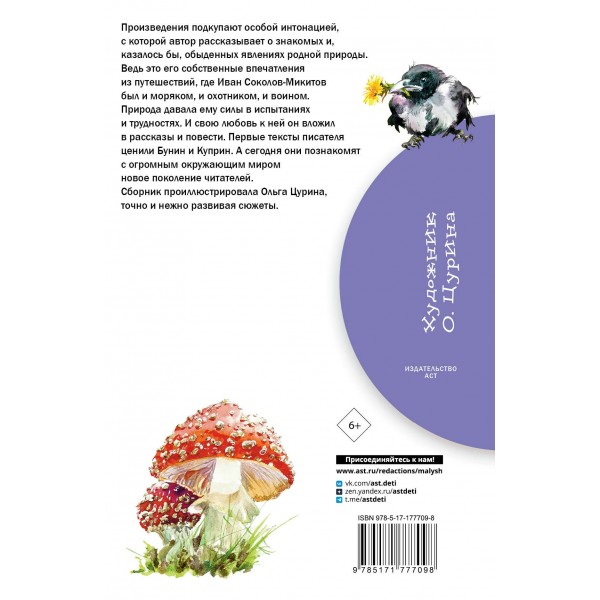 Русский лес. Соколов-Микитов И.С.