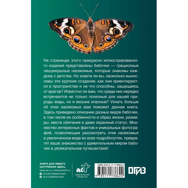 Бабочки. Иллюстрированный гид. Спектор А.А.