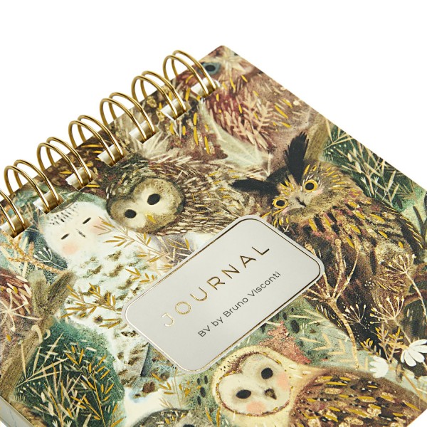 Блокнот 60 листов А6 90х90 линия, гребень Pocket journal Волшебные совы 80г/м2 3-649/06 Bruno Visconti 24/96