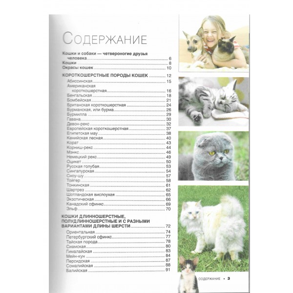 Большая книга о кошках и собаках. 1001 фотография. Барановская И.Г.
