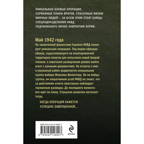 Тонкая грань затишья. Тамоников А.А.
