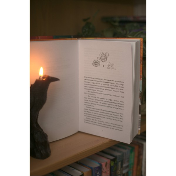 Книжный магазинчик ведьмы. Убийства и чаепития. Г. Рю