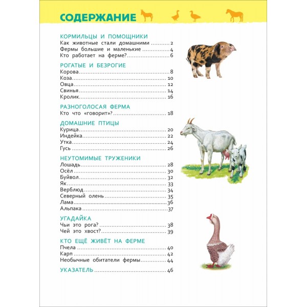 Домашние животные. Травинка И.В.