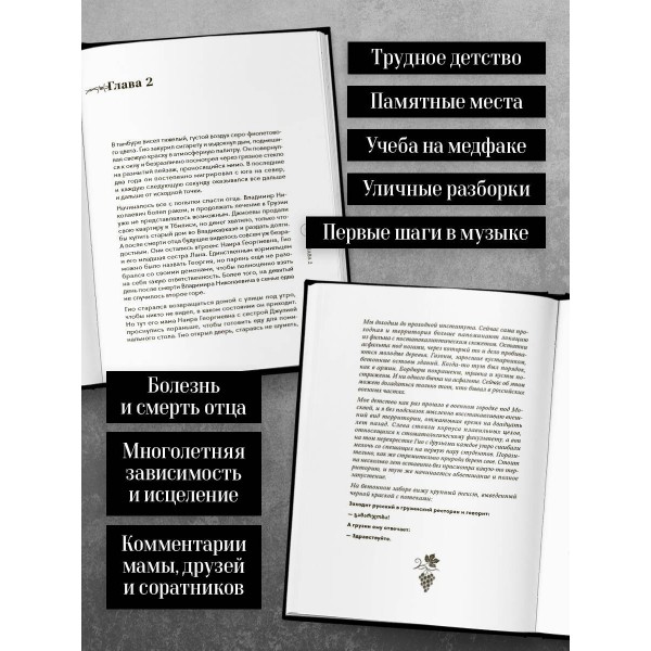 Гио Пика: с юга на север. Авторизованная биография. Еркович В.А.