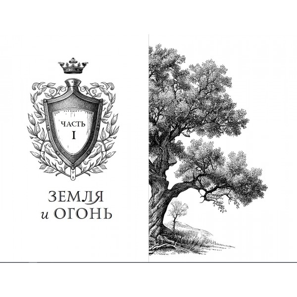 Дареш. Сердце белого леса. К. Брандис