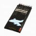 Карандаши цветные 12шт пластиковые BlackWoodColor 3-гранные ассорти 3 вида 30-0097 Bruno Visconti 12/120