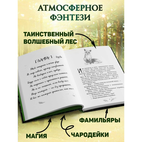 Магия четырех стихий. Девочка по имени Ива. С. Больманн
