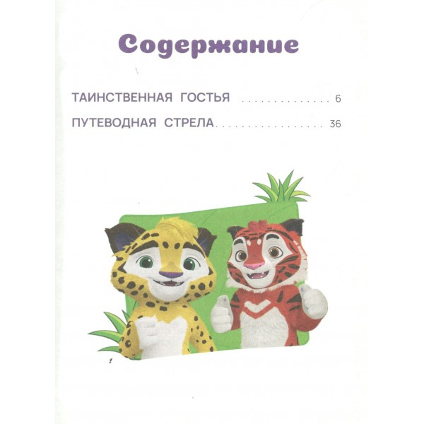 Лео и Тиг. Таинственные истории. Ю. Каштанова