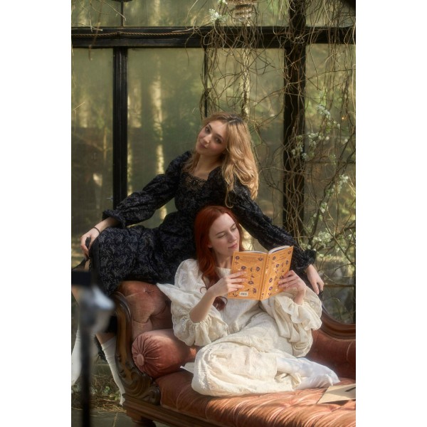 Цветы для Элджернона. Д. Киз Цветы для Элджернона. Д. Киз