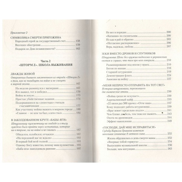 «Вагнер» и «Шторм Z»: из грязи в небо. Чертинов В.Н.