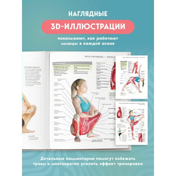 Анатомия йоги. 50 главных асан с анатомическими иллюстрациями, для начинающих и продвинутых. А. Эллсуорт