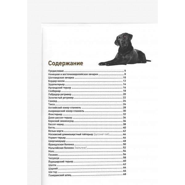 Собаки. Самые известные породы. Большая иллюстрированная энциклопедия. Коллектив Собаки. Самые известные породы. Большая иллюстрированная энциклопедия. Коллектив