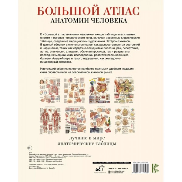 Большой атлас анатомии человека. Мягкая обложка. Е. Махиянова