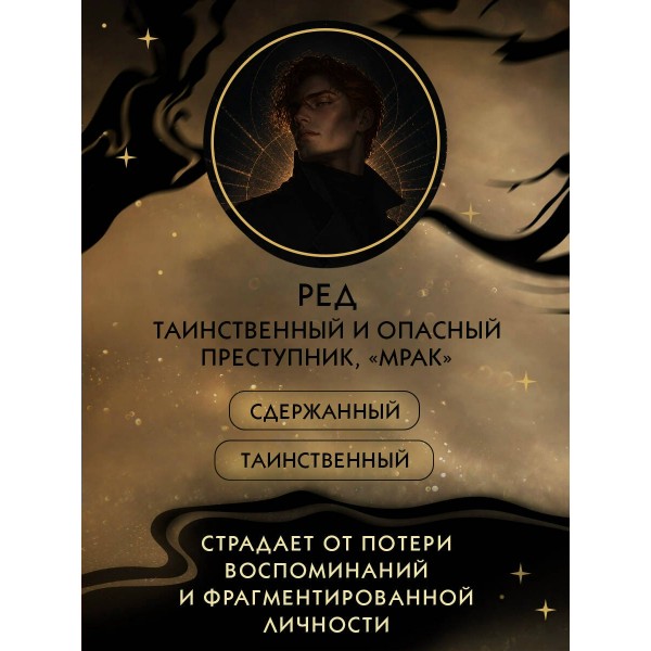 Похитительница Ночи. Х. Блэк