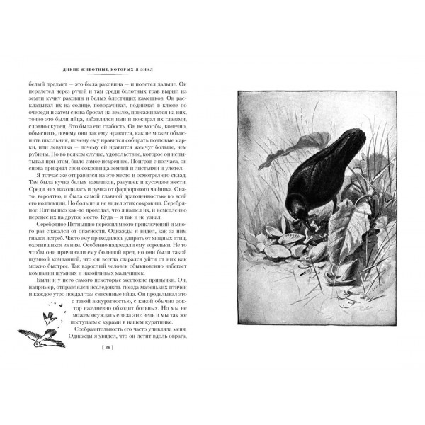 Рассказы о животных. Э. Сетон-Томпсон