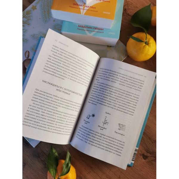 Иммуногид. Все, что вас волнует в иммунной системе от профессора-вирусолога. Х. Штрик