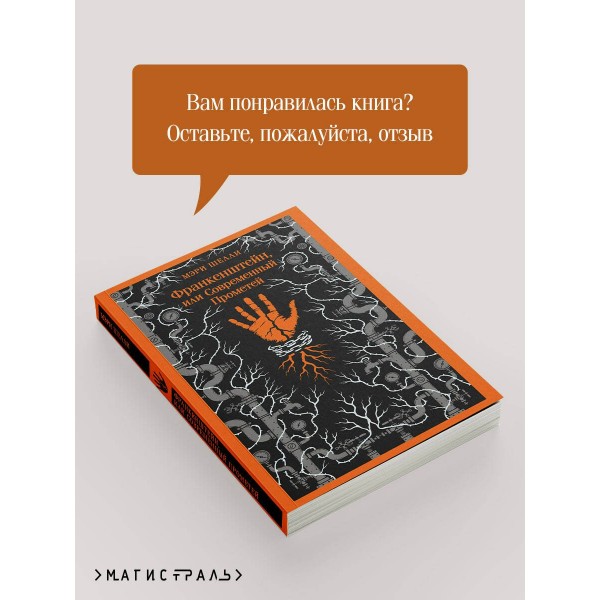 Франкенштейн, или Современный Прометей. М. Шелли