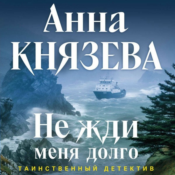 Не жди меня долго. А. Князева